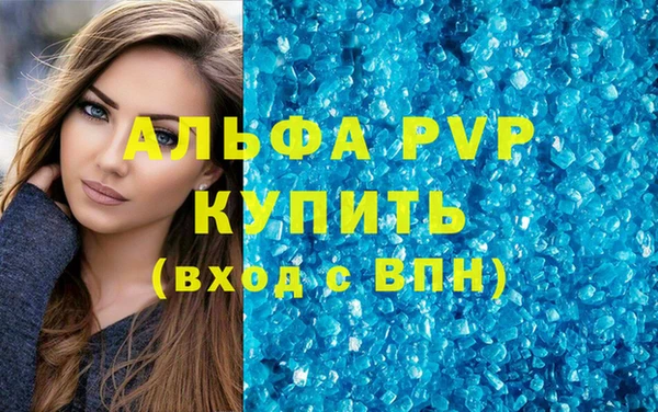 крисы Абаза