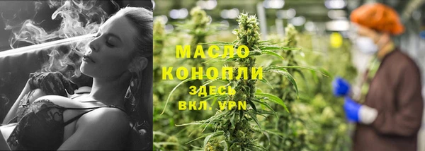крисы Абаза