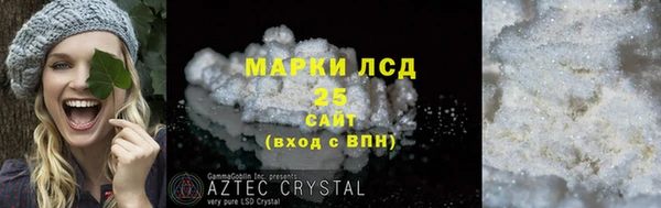 крисы Абаза
