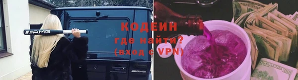 крисы Абаза