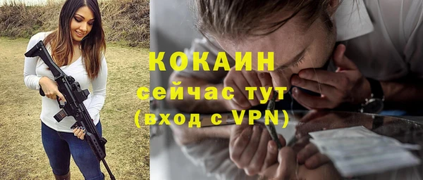 крисы Абаза