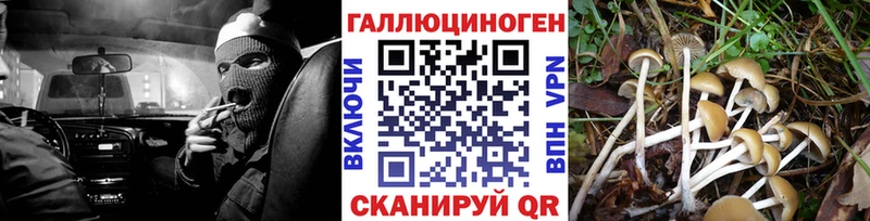 Псилоцибиновые грибы мицелий  Тольятти 